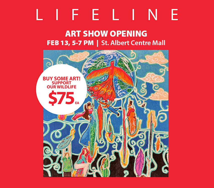 Lifeline Art Show